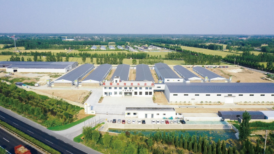 養(yǎng)雞場(chǎng)航拍